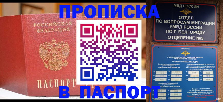 временная регистрация в квартире в Мончегорске